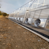 Multi-Span Film Agricultural Commercial Plastic Greenhouse