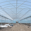 Premium Flim Multi-Span Greenhouse