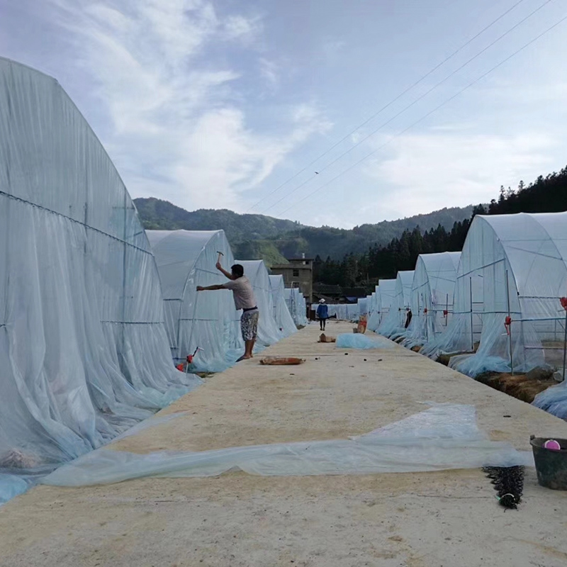 High Quality Film Single Span Agricultural Greenhouse
