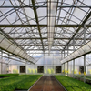 Commercial Multi-Span Greenhouse