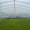 Tunnel Film Greenhouse