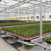 Nursery And Seeding Glass Greenhouse