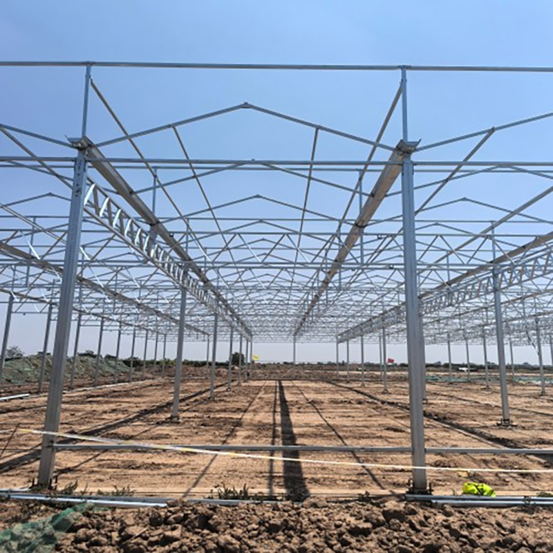 High-Efficiency Venlo Greenhouse With Glass For Hydroponics