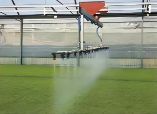 Multi-Span Film Agricultural Commercial Plastic Greenhouse