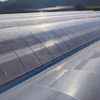 Customized Agricultural Single Seedling Greenhouse