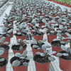 Modern Glass Greenhouse With Polycarbonate Roof