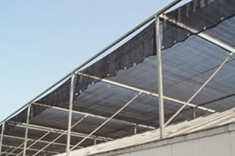 Multi-Span Film Agricultural Commercial Plastic Greenhouse