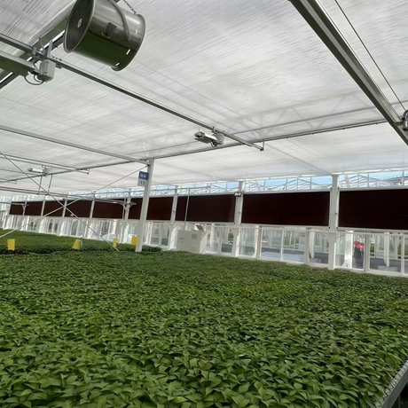 Venlo Polycarbonate Greenhouse.jpg