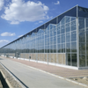 Multi-purpose Glass Agricultural Multi-span Greenhouse