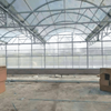 Stable Arched Glass Greenhouse