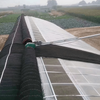 Single Slope Sunlight Film/Polycarbonate Greenhouse