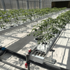 Efficient Water-Fertilizer Controlled Greenhouse
