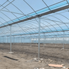 Premium Flim Multi-Span Greenhouse