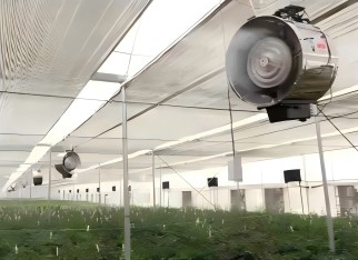 Multi-Span Film Agricultural Commercial Plastic Greenhouse