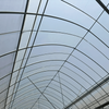 Multi-span Film Greenhouse For Grape Cultivation