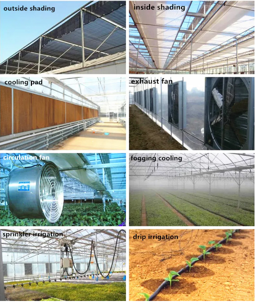 Polycarbonate Board PC Greenhouse For Planting