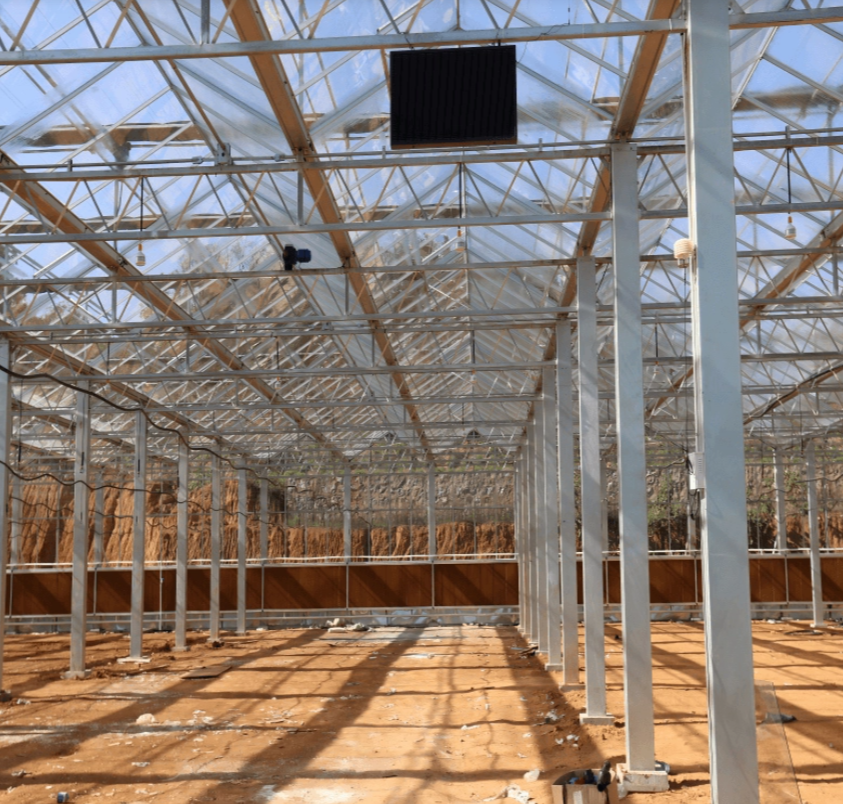 Commercial Floriculture Glass Greenhouse