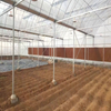 Tropical Sawtooth Greenhouse