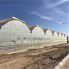 Gothic Film Greenhouse