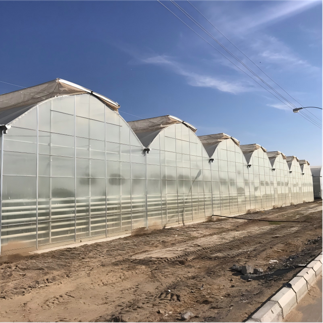 Gothic Film Greenhouse