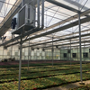 Double Layer Inflated Film Greenhouse