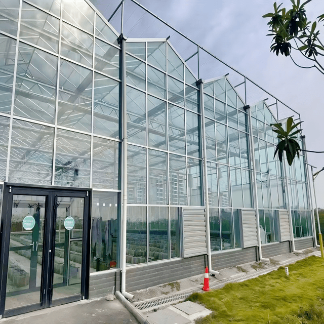Fruit And Berry Glass Greenhouse