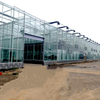 Stable Arched Glass Greenhouse