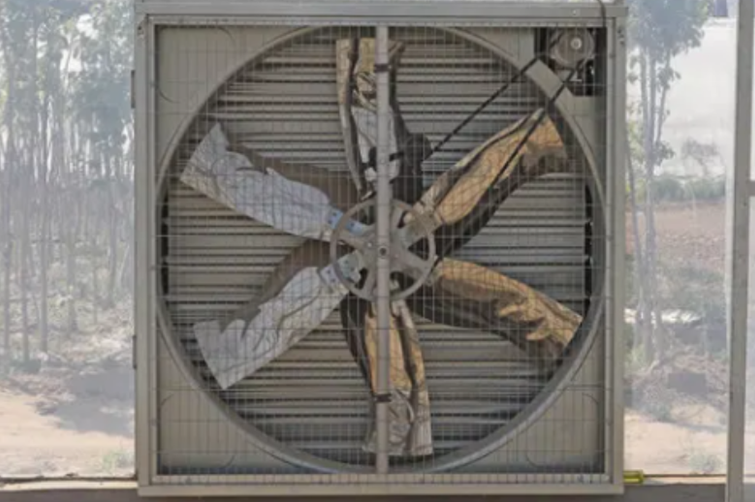 Multi-Span Film Agricultural Commercial Plastic Greenhouse