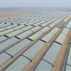 Single Slope Sunlight Film/Polycarbonate Greenhouse