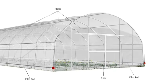 Customized Agricultural Single Seedling Greenhouse