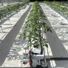 Efficient Water-Fertilizer Controlled Greenhouse
