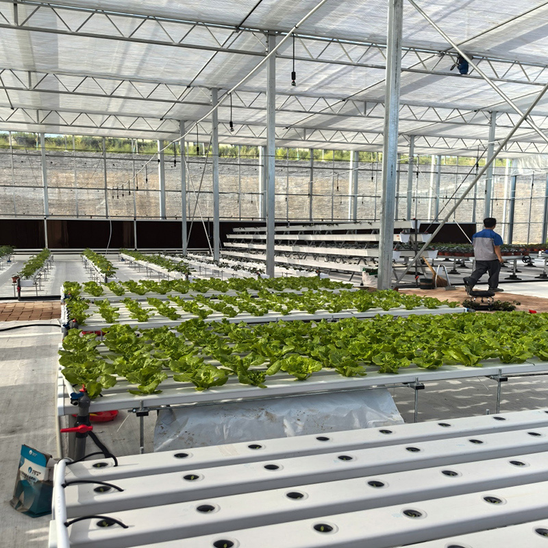 Efficient Water-Fertilizer Controlled Greenhouse