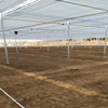 Multi-Span Film Agricultural Commercial Plastic Greenhouse