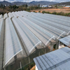 Tropical Sawtooth Greenhouse