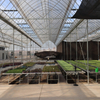 Commercial Multi-Span Greenhouse