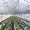 Tunnel Film Greenhouse
