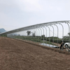 Single Slope Sunlight Film/Polycarbonate Greenhouse