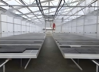 Multi-Span Film Agricultural Commercial Plastic Greenhouse