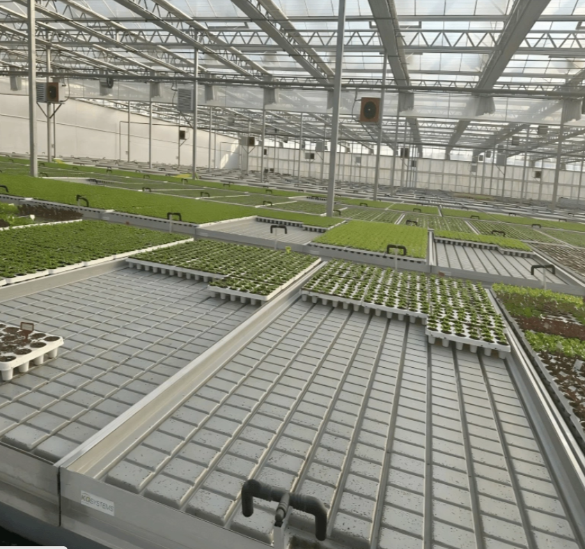 Nursery And Seeding Glass Greenhouse