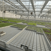 Nursery And Seeding Glass Greenhouse