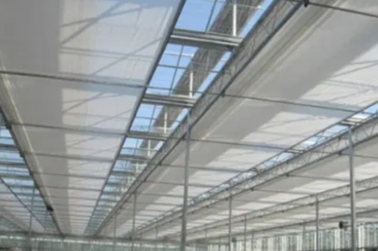 Multi-Span Film Agricultural Commercial Plastic Greenhouse