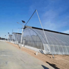 Single Slope Sunlight Film/Polycarbonate Greenhouse
