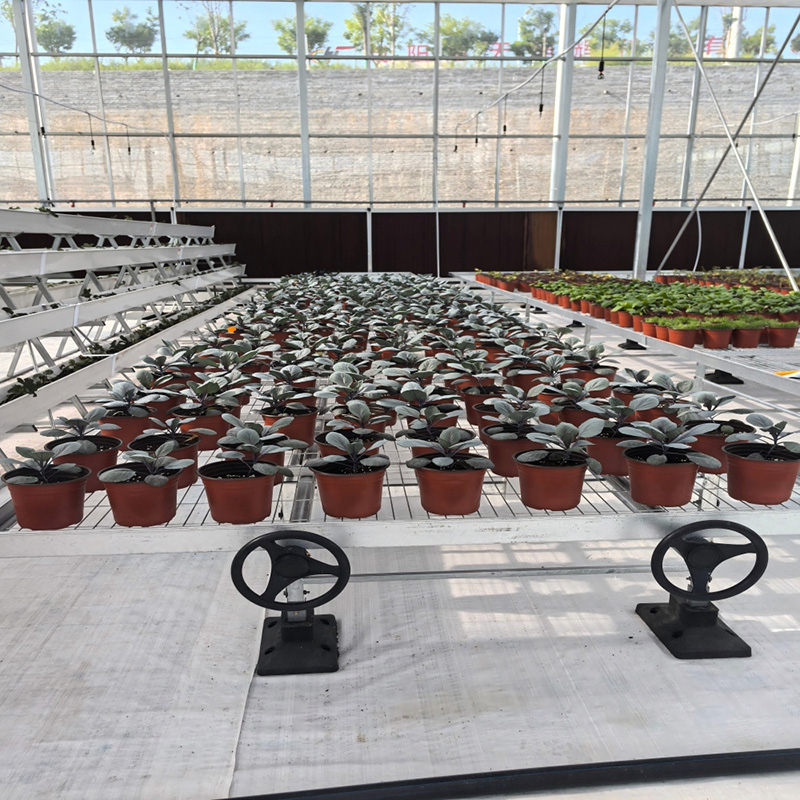 Efficient Water-Fertilizer Controlled Greenhouse