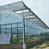 Stable Arched Glass Greenhouse