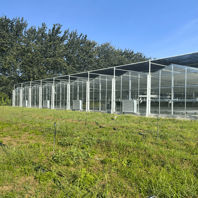 Modern Glass Greenhouse With Polycarbonate Roof