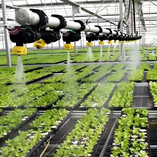 Hydroponic Glass Greenhouse For Soilless Tomatoes