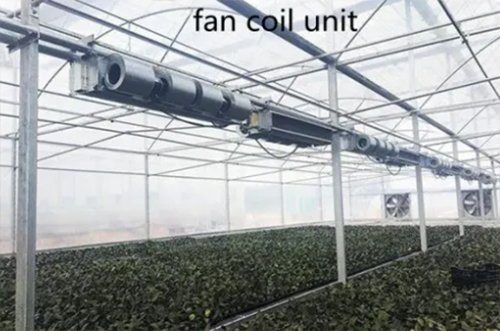 High Quality Greenhouse with Insulation Quilt