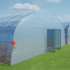 Single Greenhouse For Seedling Raising