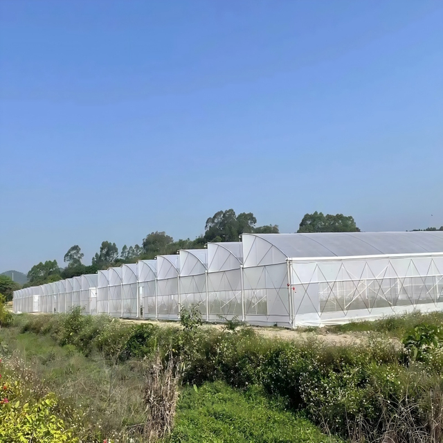 Tropical Sawtooth Greenhouse