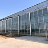 Moth Orchid Cultivating Glass Greenhouse For Agriculture